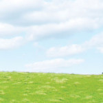 valley+cow_2